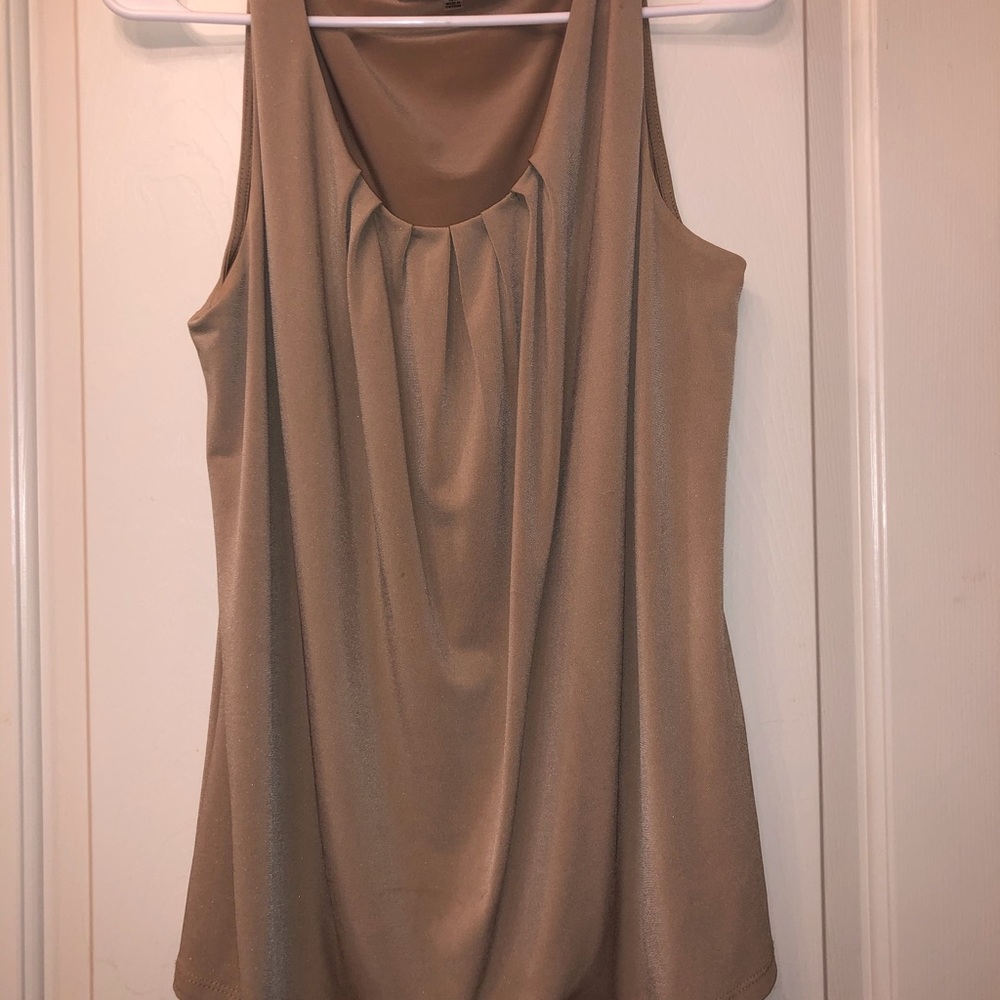 Beautiful taupe shell